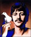 Ringo, Pomba.